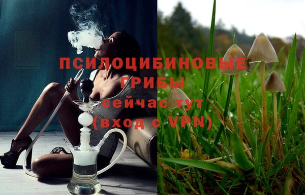 дживик Абаза