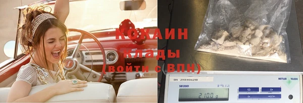 сатива Абдулино