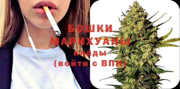 стафф Новодвинск