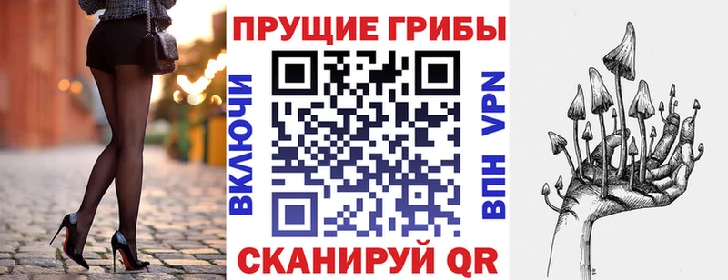 Галлюциногенные грибы MAGIC MUSHROOMS  купить  сайты  мега сайт  Тырныауз 